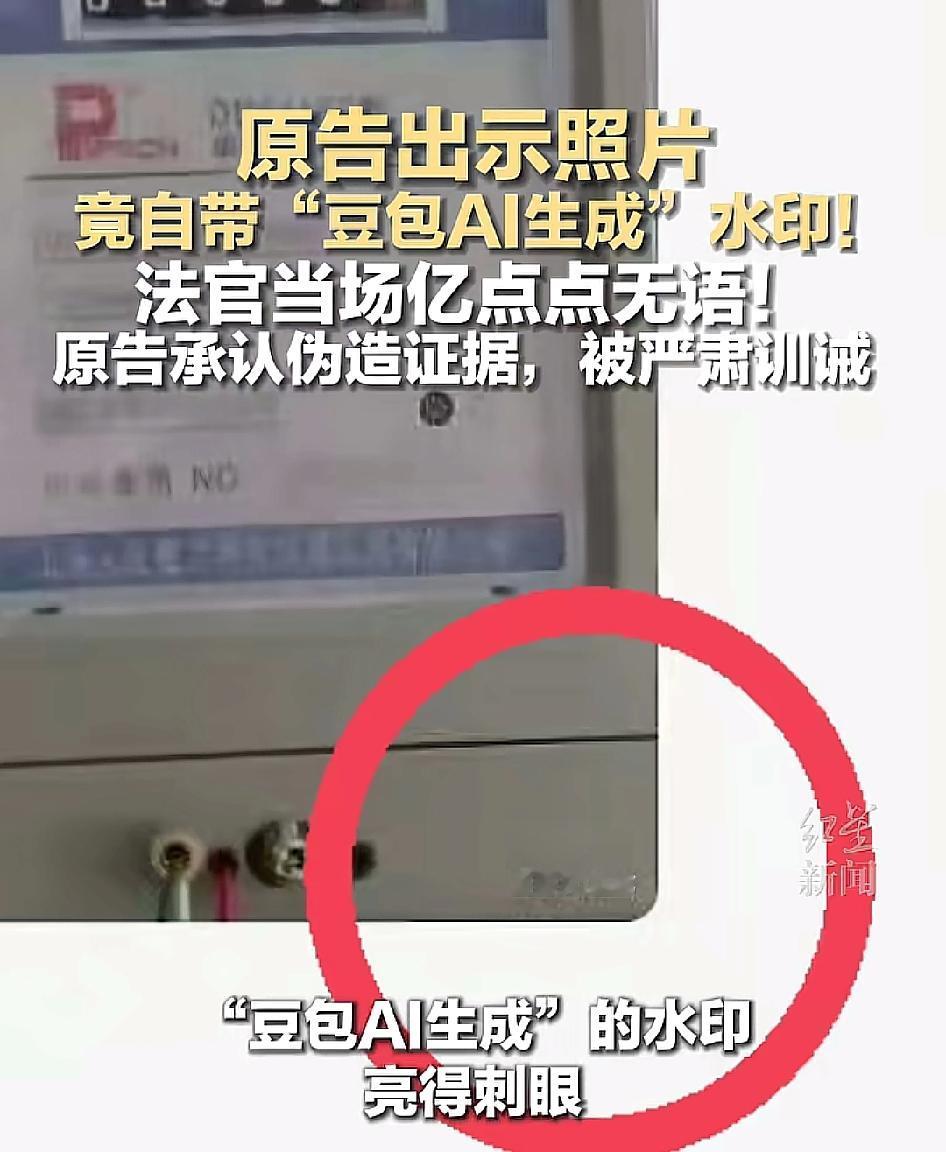 法官从未如此无语过！打官司竟然用豆包AI生成的图片[看]关键是没有去水印！湖北孝