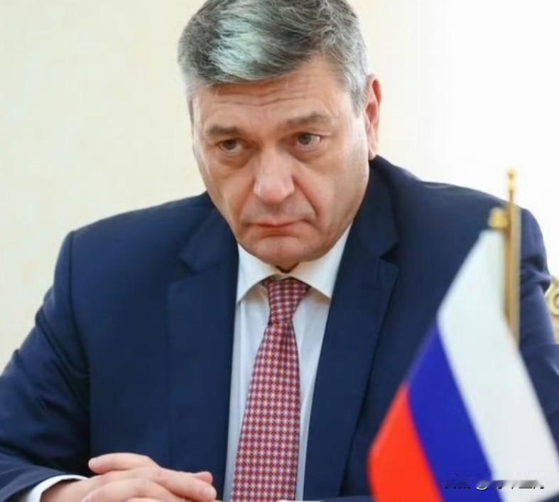 俄罗斯回应日本有关核能政策逆转的讨论：

“我们认为，日本的军事化只会使东北亚地