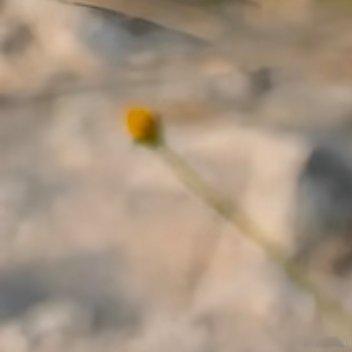 0000真诚待人，即使秋叶飘落、鲜花凋零，也不会感到孤独；真诚待人，就算岁月流逝