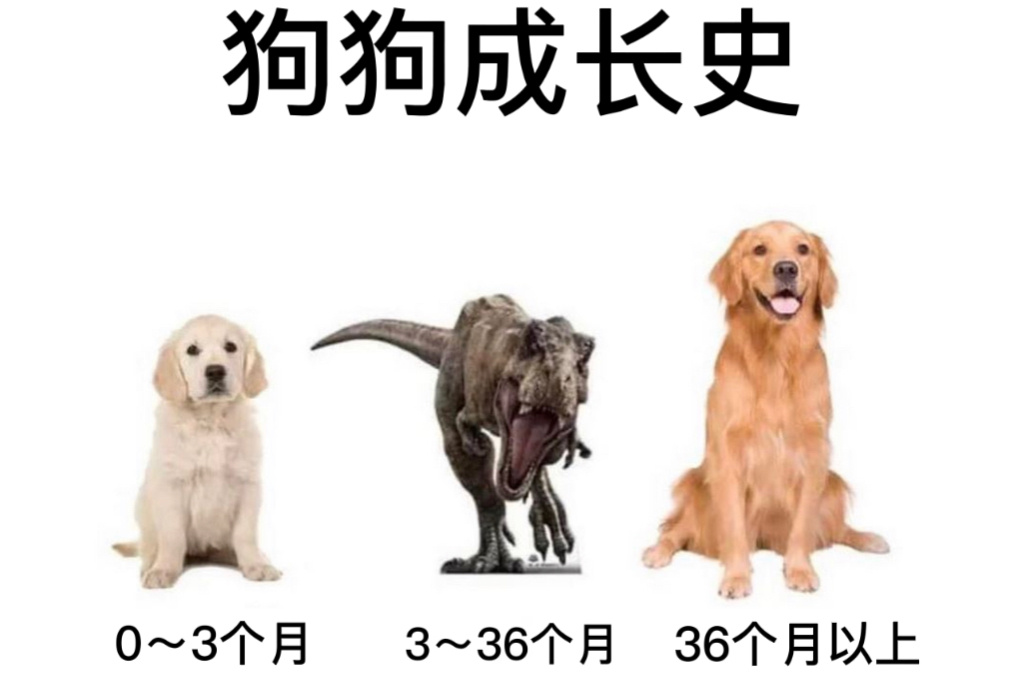 勾勾青春期#今日memes##我的幽默搭子##定格# ​​​