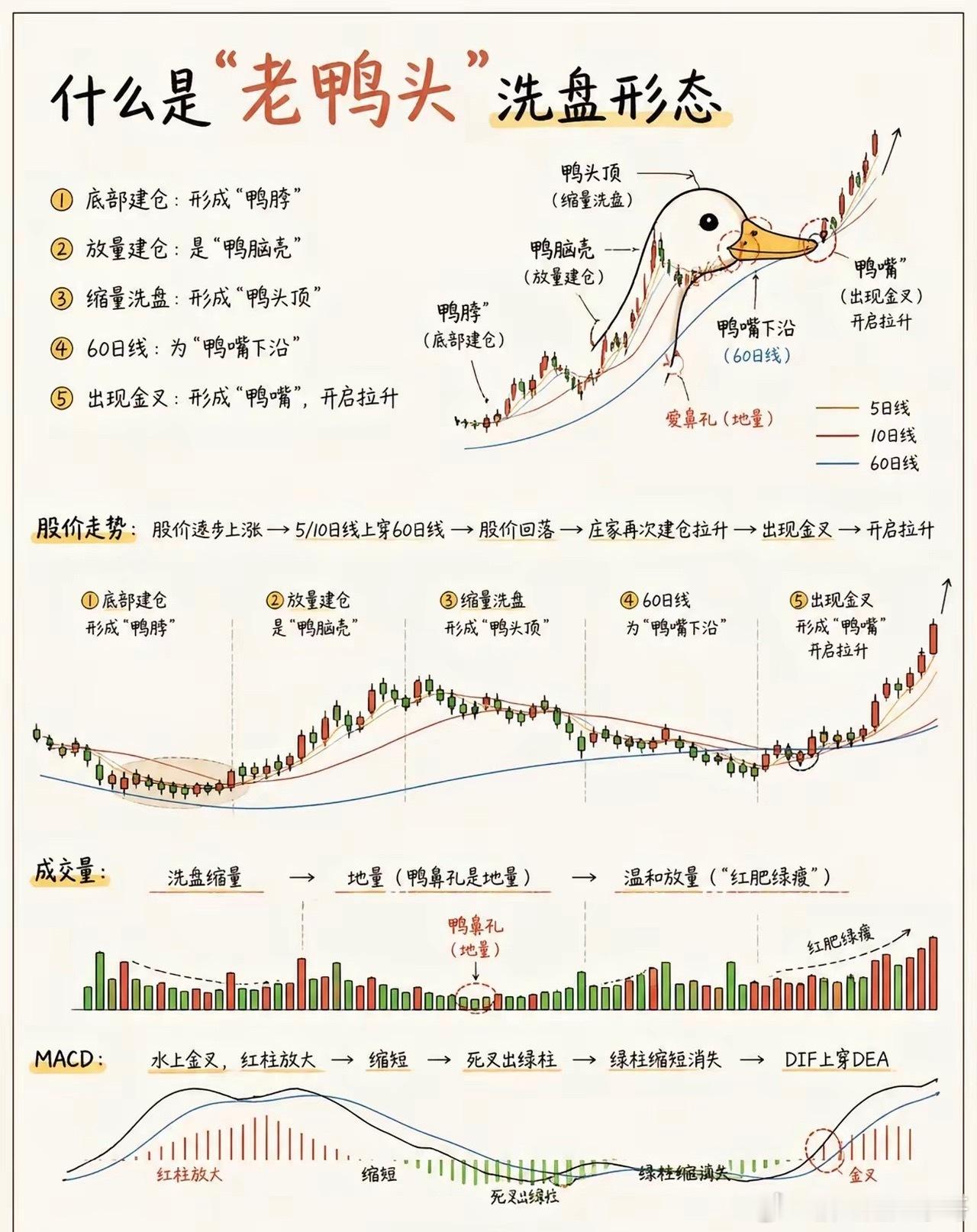 老鸭头是A股里超经典的主力洗盘后拉升形态，被散户当成抓主升浪的“信号枪”。它的形