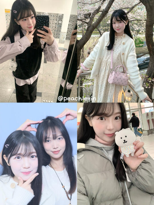 小韩留学🇰🇷首尔樱花季🌸春天的故事📷