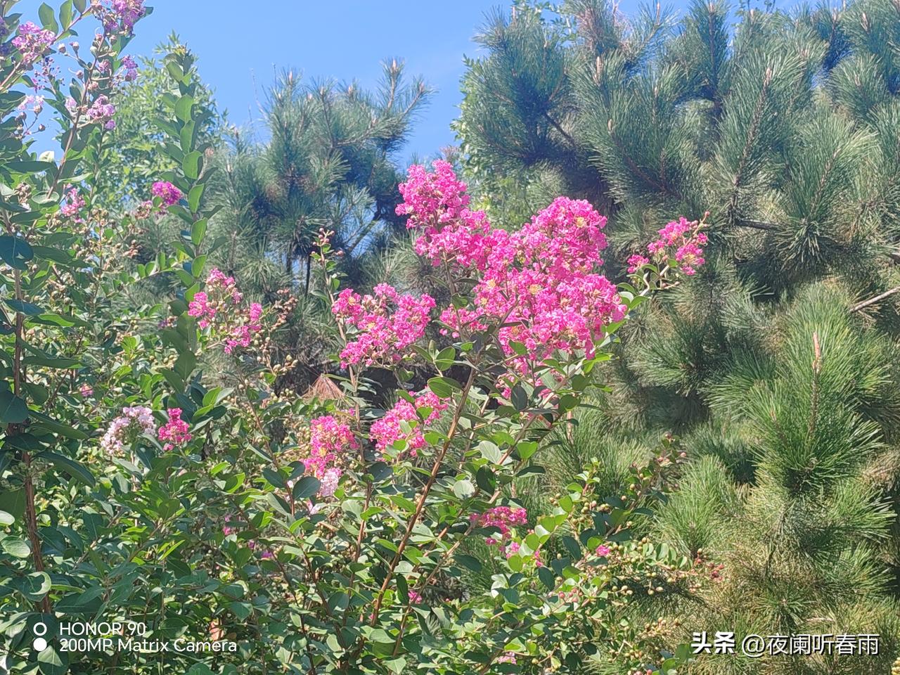 二十多年前春运我返回军校，得到陌生女孩的特殊关照，至今心存感激。
1996年春节