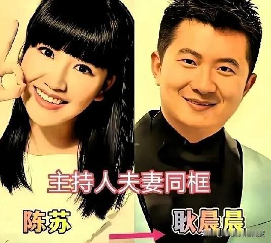 你知道央视的知名主持人们，他们的另一半都是谁吗？

今天来聊聊三对。任鲁豫，荧幕