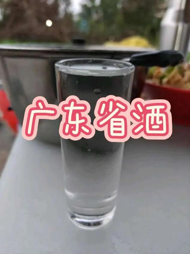 广东省酒，好喝 来到广州必须得尝尝广东省的省酒，名为“九江双蒸酒”，它可不是江西