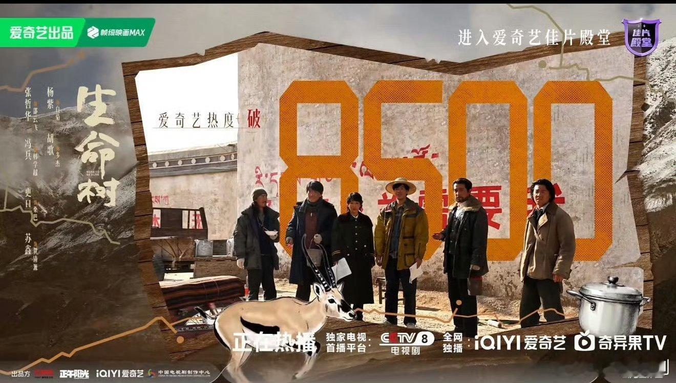 【二胖恭喜】生命树热度破8500了！口碑慢慢起来了，这几集剧情越来越精彩了，继续