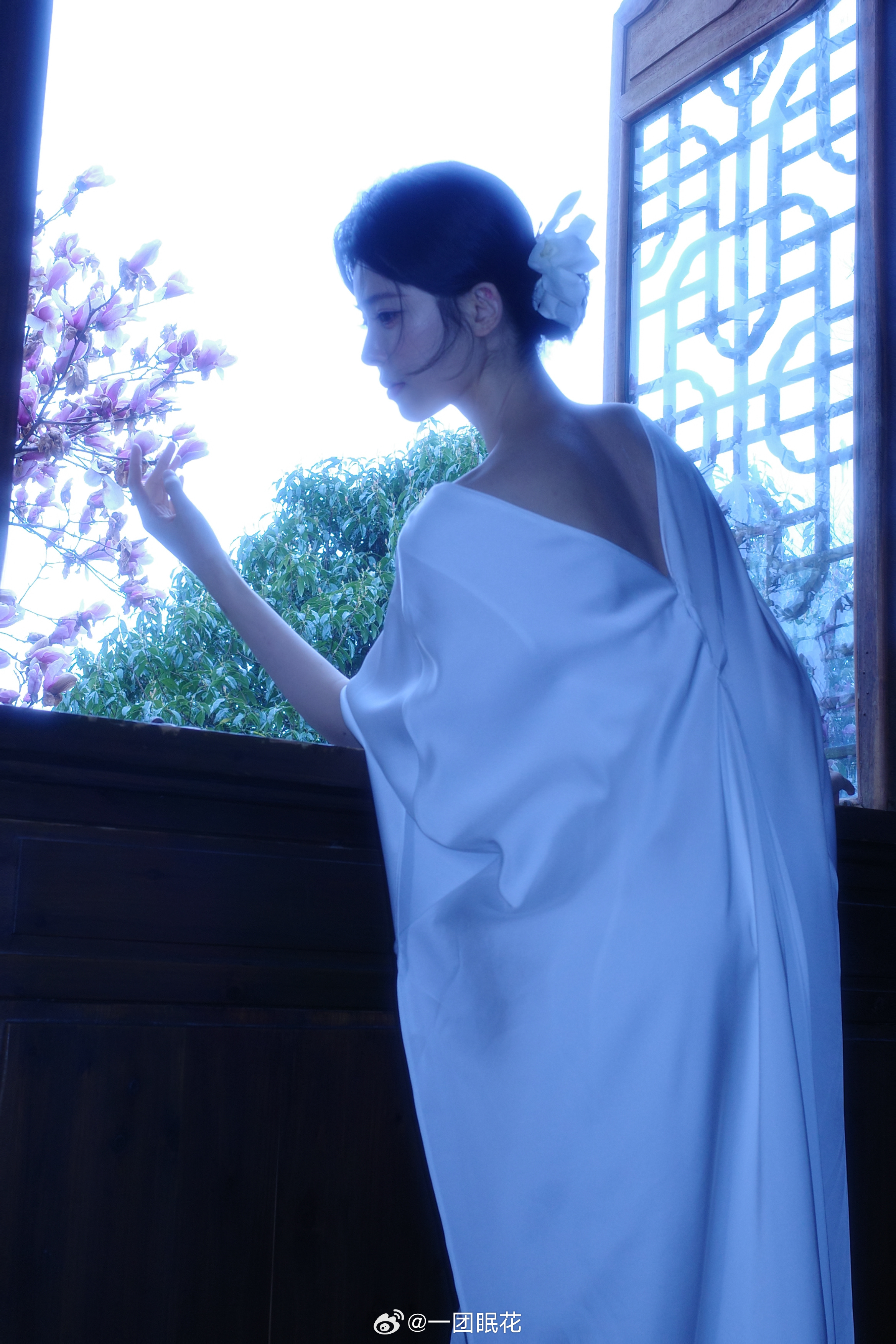 ⋆ ✦₊ 玉兰花(理光版) 扬州·扬州东关街