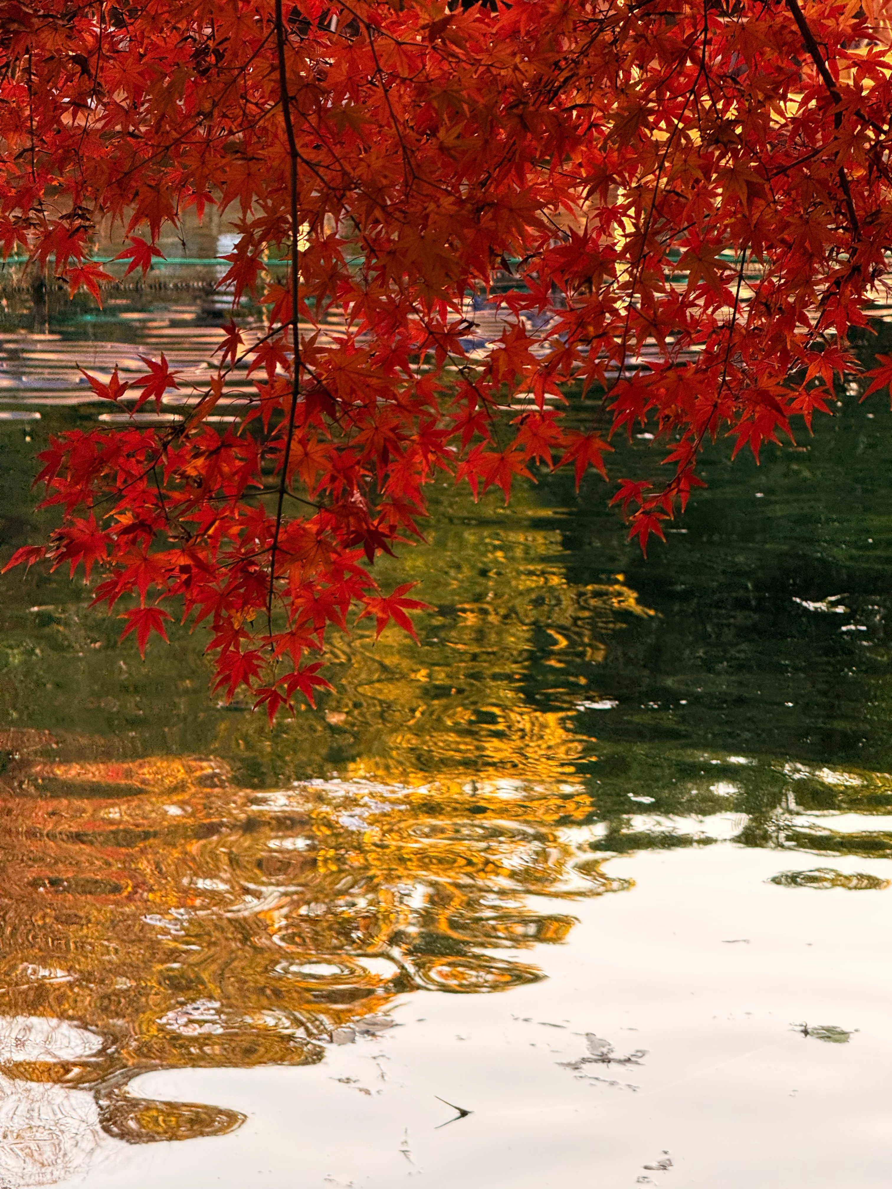 我是相当不喜欢和来访“讲价”的为啥呢？我说个情况大家就懂了经常有来访上来跟我一通