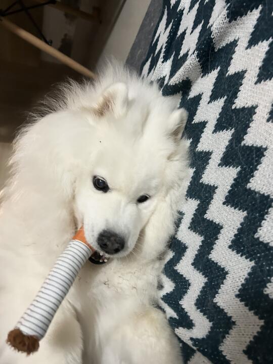 AAA建材市场耶哥