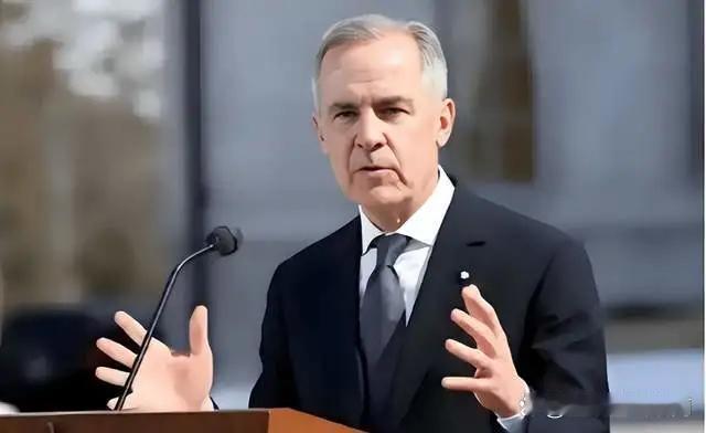 到底谁是发达国家啊？那份中加经贸路线图上，一个数字让我盯了半天：2026年起，每