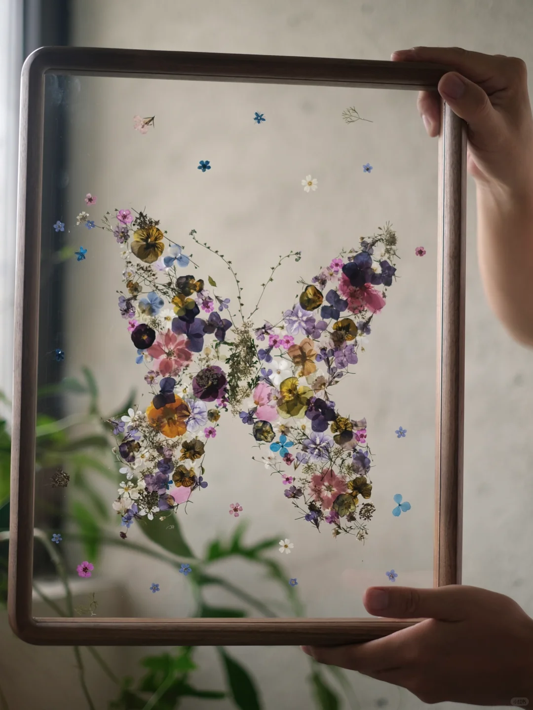 是蝴蝶泉边的那只蝴蝶🦋｜压花手作
