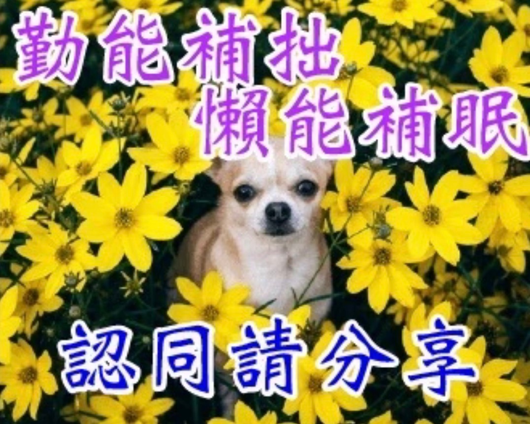 （陈异也是够犟的，至于爬窗进来吗，住校而已也没人不让你走正门啊） 