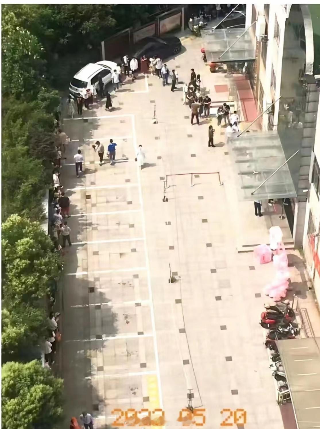 据说今年520结婚的人少了、买花的也少了。有种看法是小红薯在这方面起到了很大作用