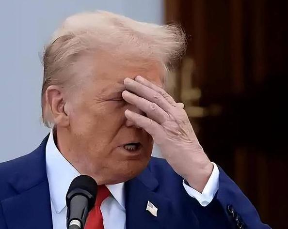 “天不怕地不怕”的特朗普，这回栽了！

治他的不是别人，竟是自己人！这位主儿就是