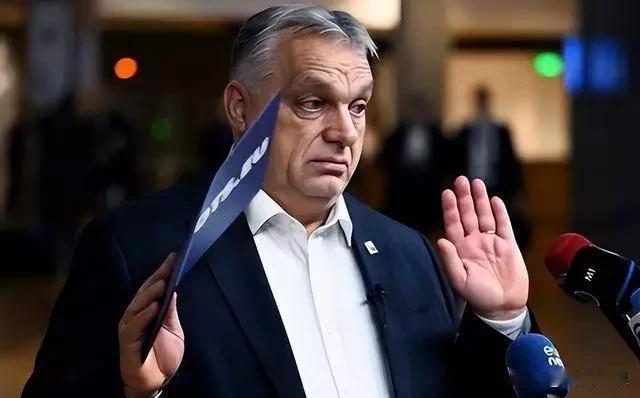 欧尔班放话：你们玩你们的，匈牙利一分钱不掏！

欧盟那边刚拍板给乌克兰送900亿