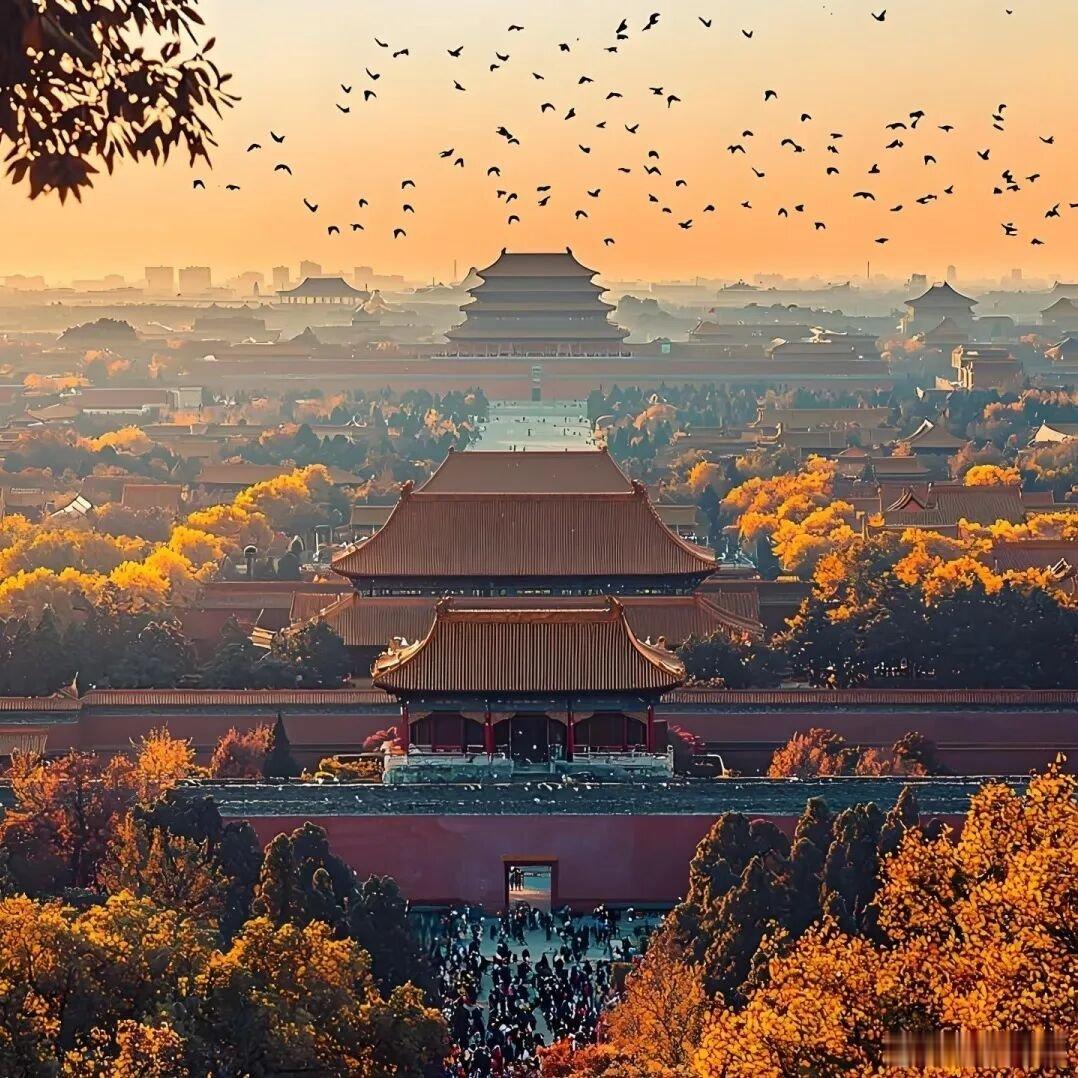 浙江人全部南下了吗准备逆向去北京耍耍如何？