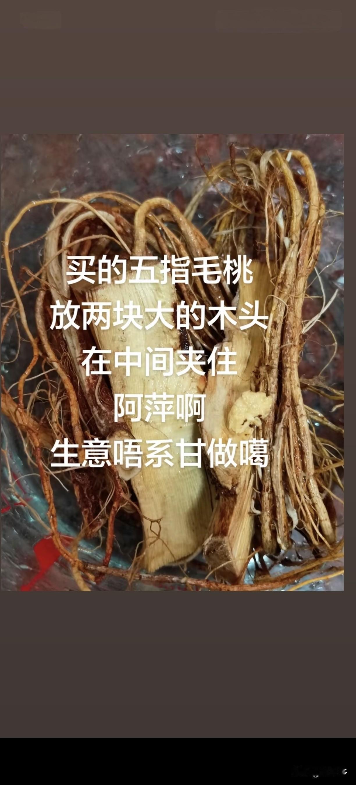 买五指毛桃遭遇以次充好，做生意不该这般欺客
 前段时间想着煲一锅祛湿养人的五指毛