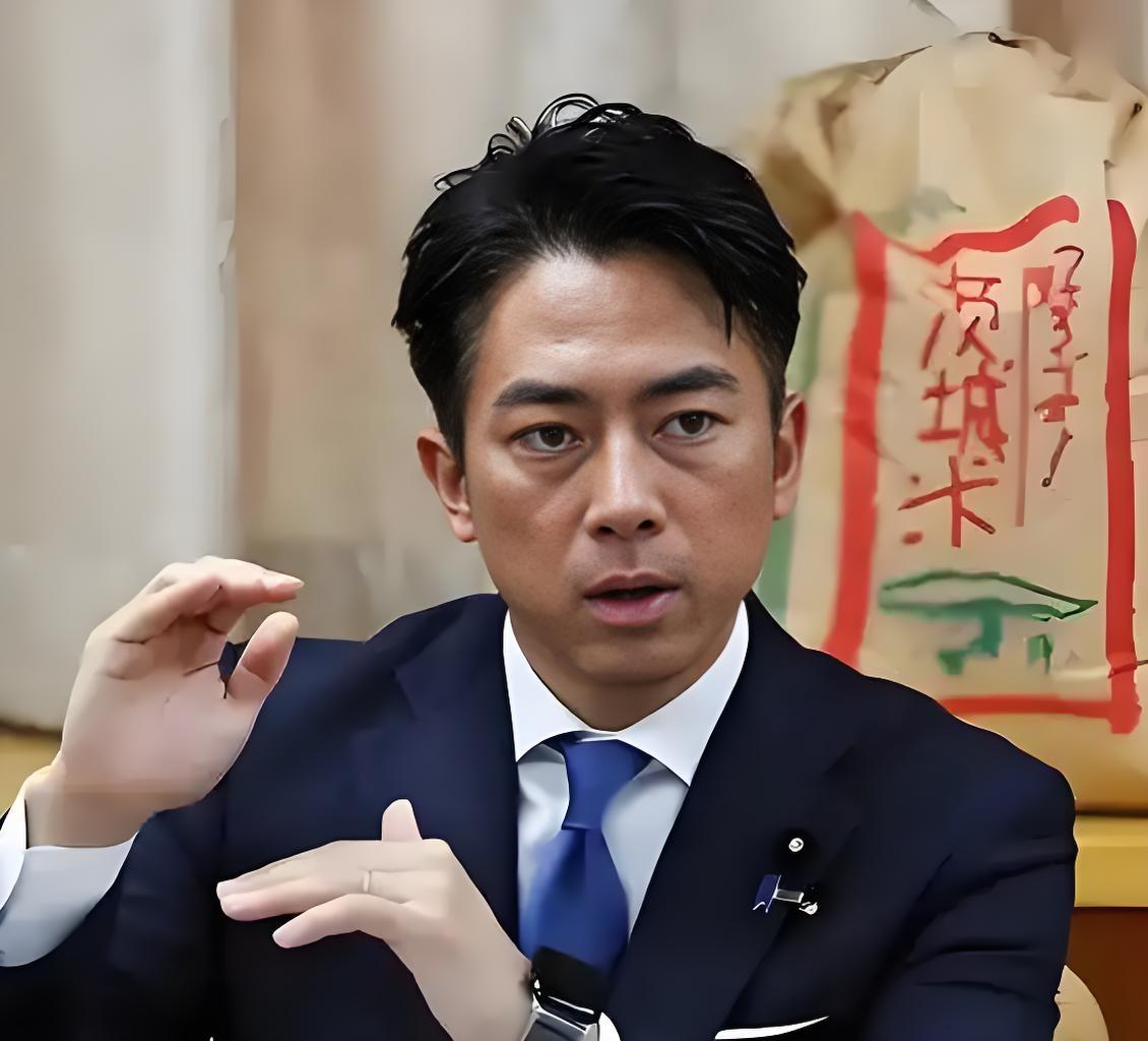 日本万万没想到，用来对抗中国的六代机项目，却被英国卡住了，日防长小泉进次郎亲自上