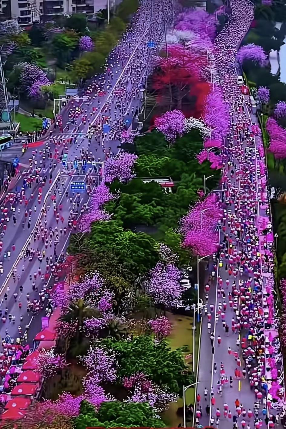 近日，广西柳州举办马拉松比赛，美轮美奂的赛道火了🔥
这赛道的风景太美了！