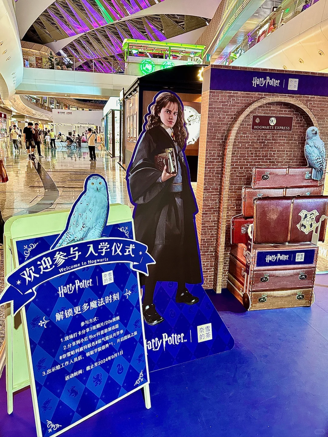 报！哈利波特珠海分院入学？！