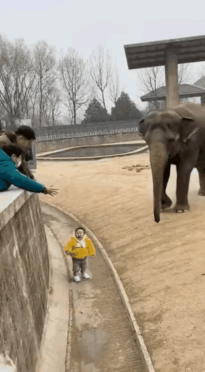 这份善良真让人感动～