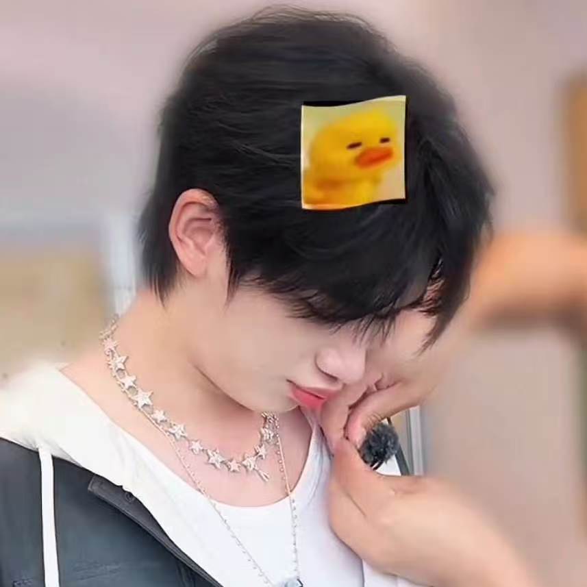 丁程鑫鸭塑认证丁程鑫知道自己是小鸭子 看到丁程鑫的鸭子表情包，我嘴角就没下来过，