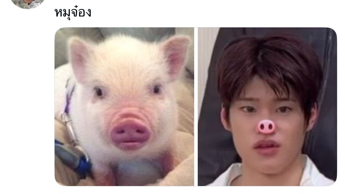 明天有点事儿要很早很早起，这会儿再刷下油管就要睡了，大家晚安😴 