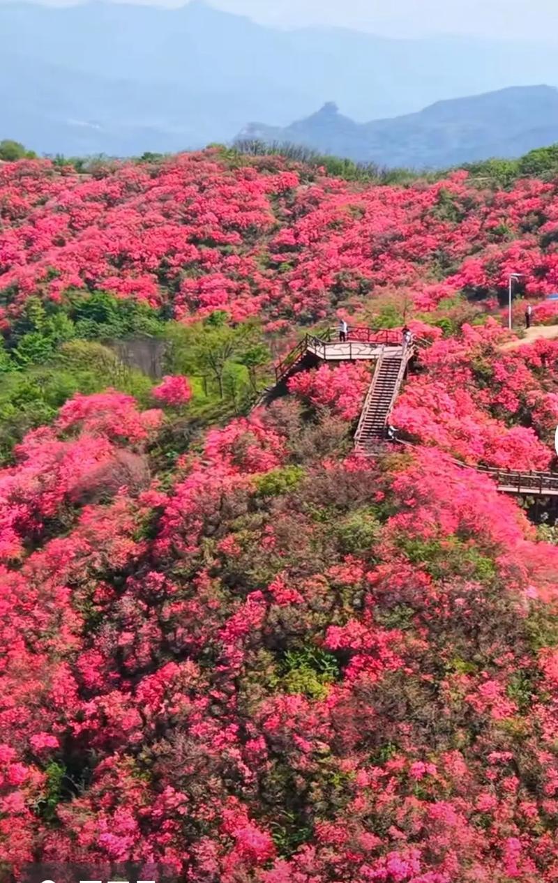 “红色引流，绿色消费”——红安天台山升级省级旅游度假区，红+绿的打法能火吗？
你
