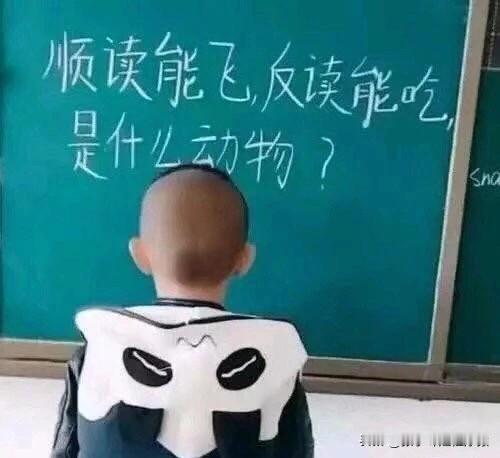 有神评论吗？@头条搞笑 @趣中国 @头条号 #广州#