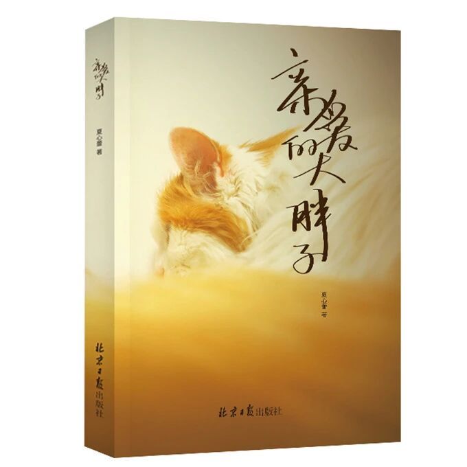 十九年陪伴，一百天告别 这是一段穿越十九年时光的温柔羁绊，也是一次长达一百天的漫
