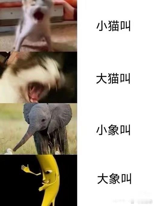 神了 