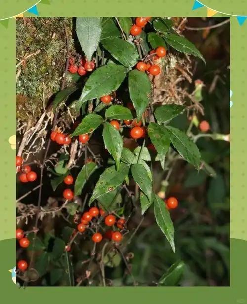 【身体哪里虚，判断方法】
气虚，容易累，黄芪15，党参10，山药15；
血虚，掉