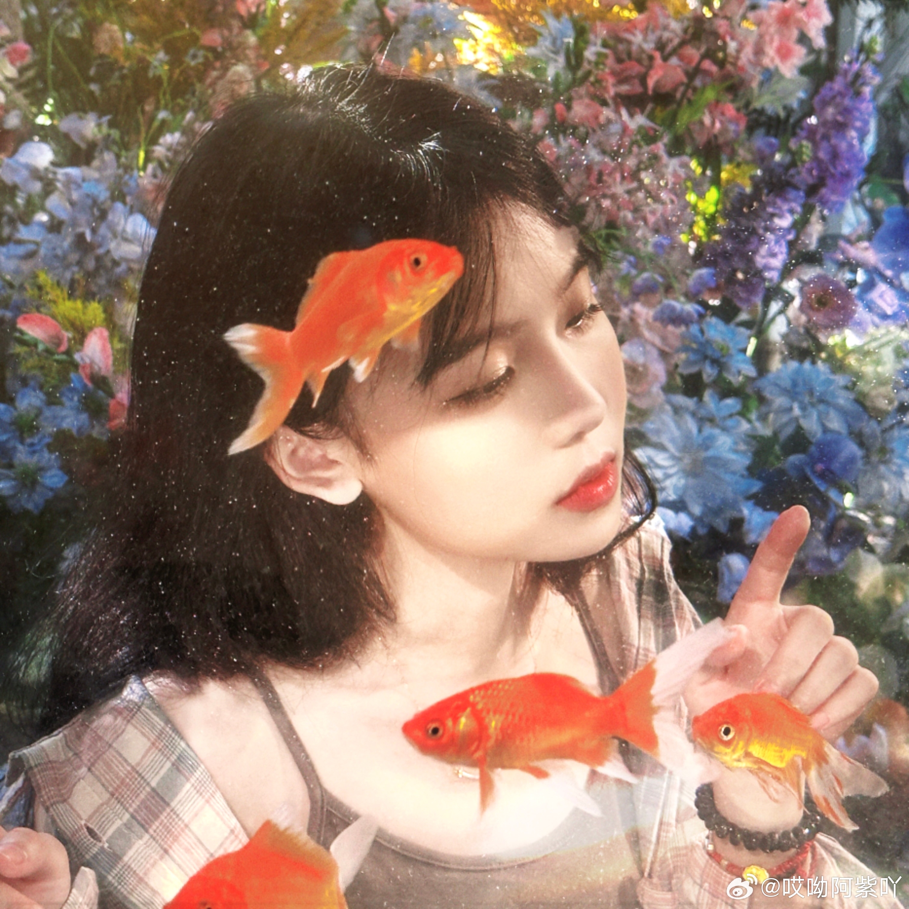 金鱼也会记住这个夏天吗🐠🫧 