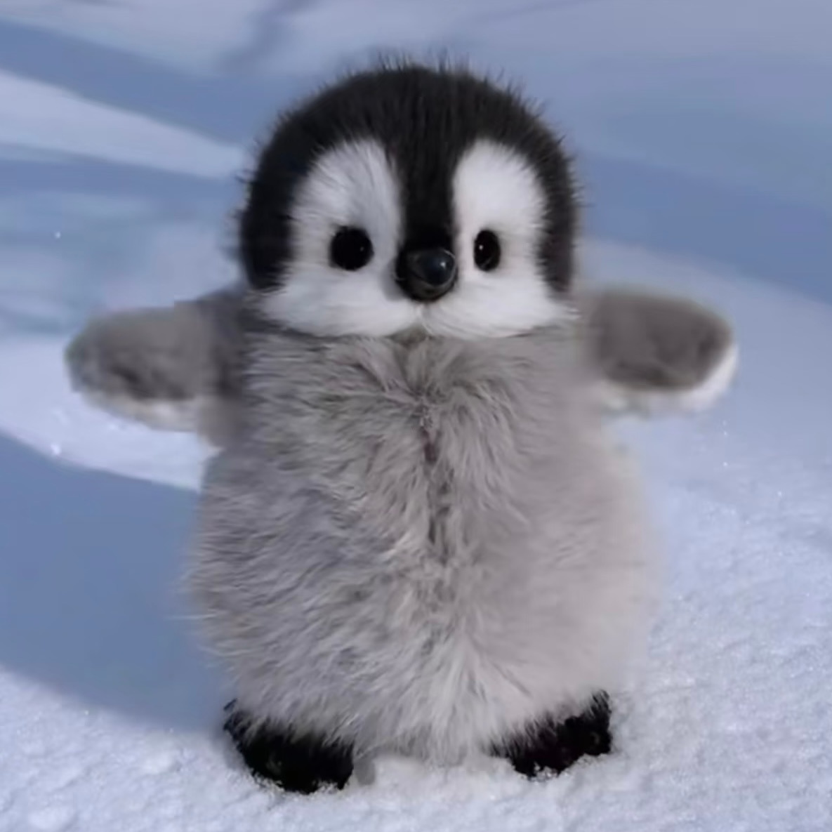 小企鹅走路🐧 ​​​