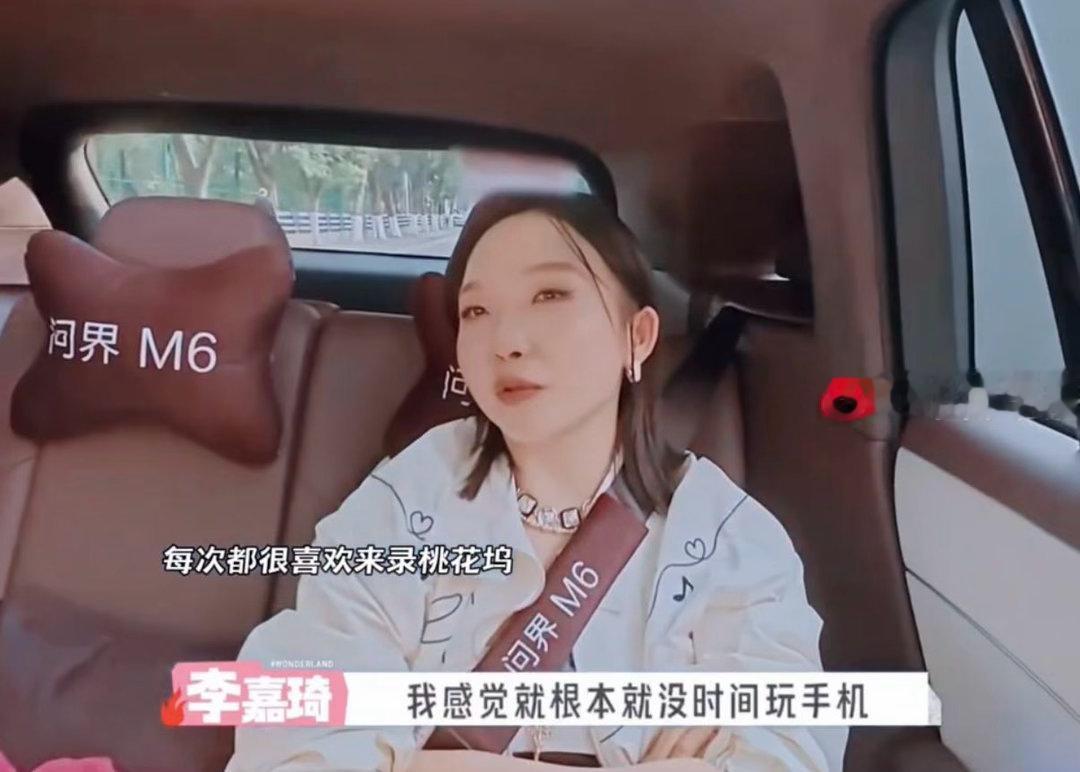 看得出来沈月李嘉琦是真喜欢桃花坞沈月李嘉琦是真喜欢桃花坞朝夕相伴的坞内日常，藏着