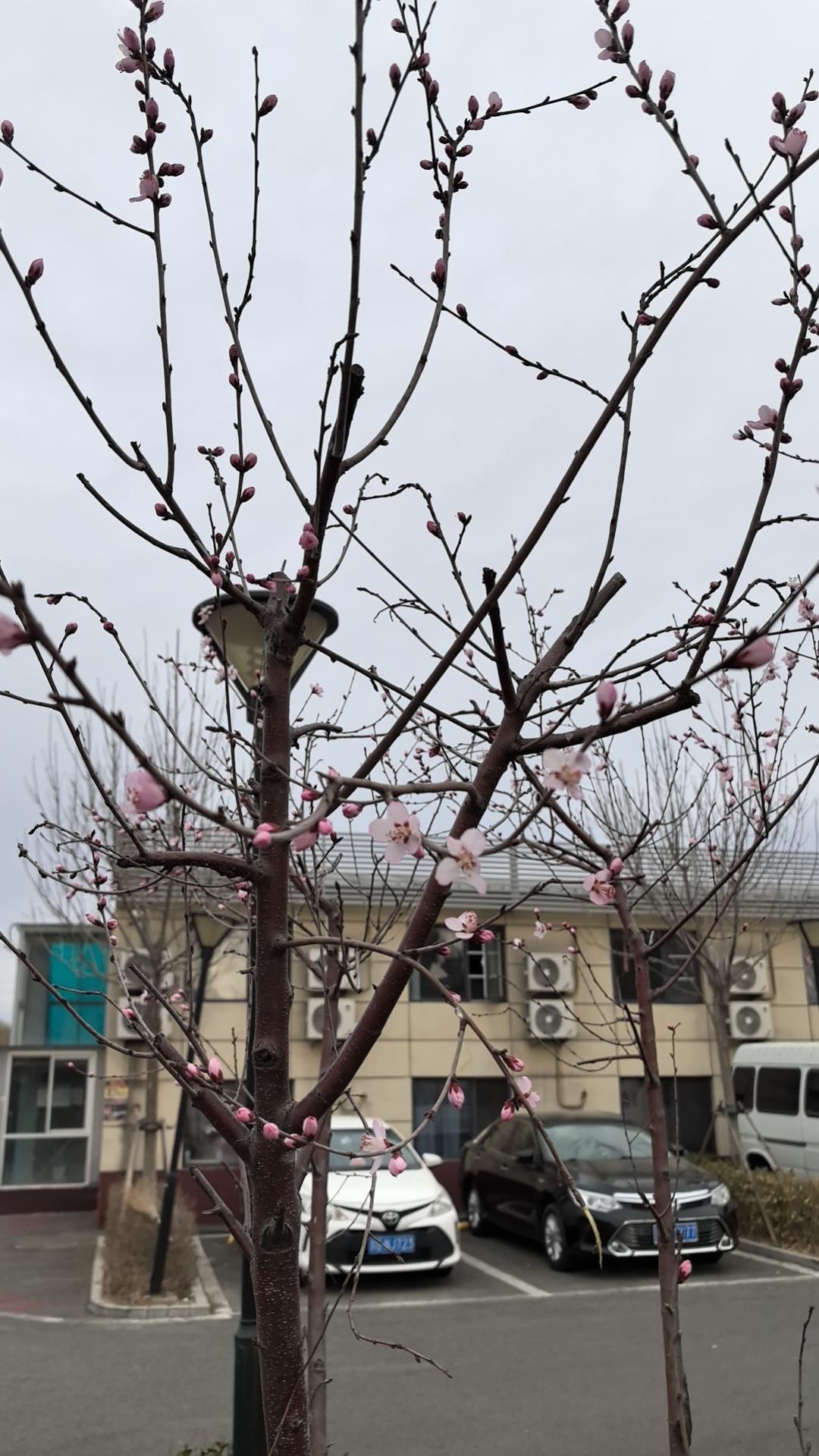 这事我不知道怎么说好了
3月11日，湖南湘潭，有市民反映称，自己82岁的母亲和一