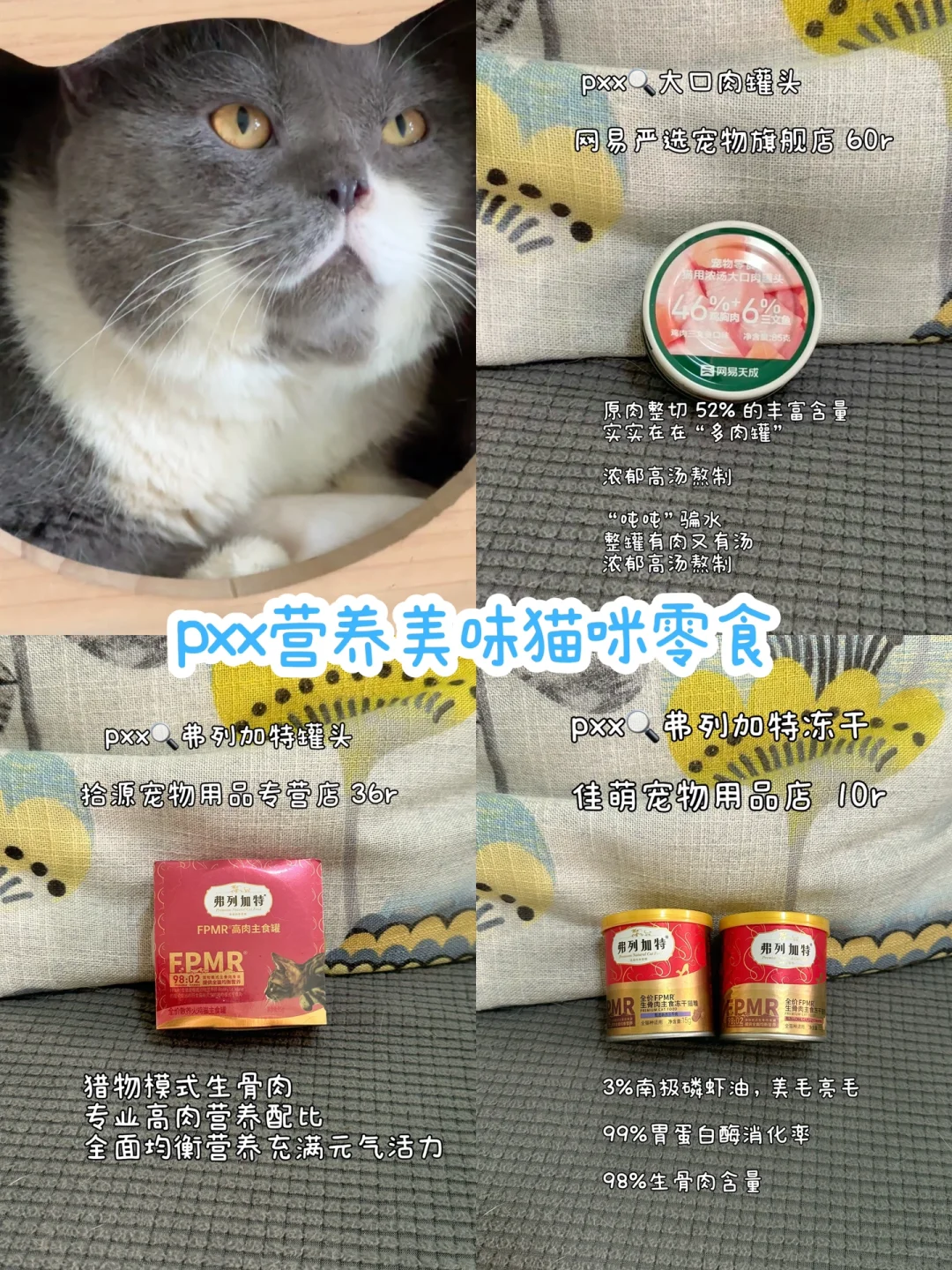 pxx美味长肉猫咪零食分享