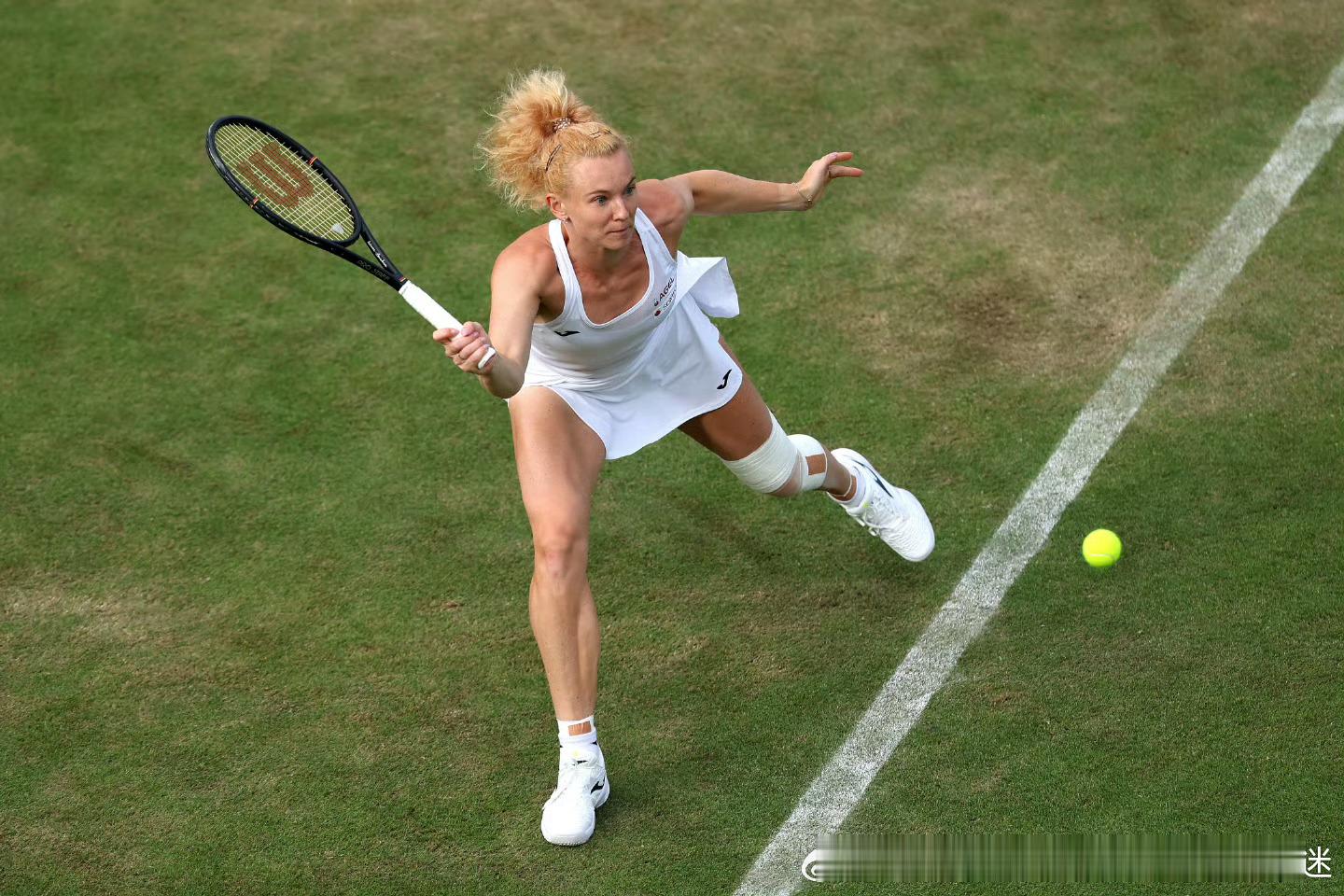 🇨🇿西尼亚科娃再胜🇨🇳郑钦文🔥温网2026女单首轮1️⃣，32号3️⃣