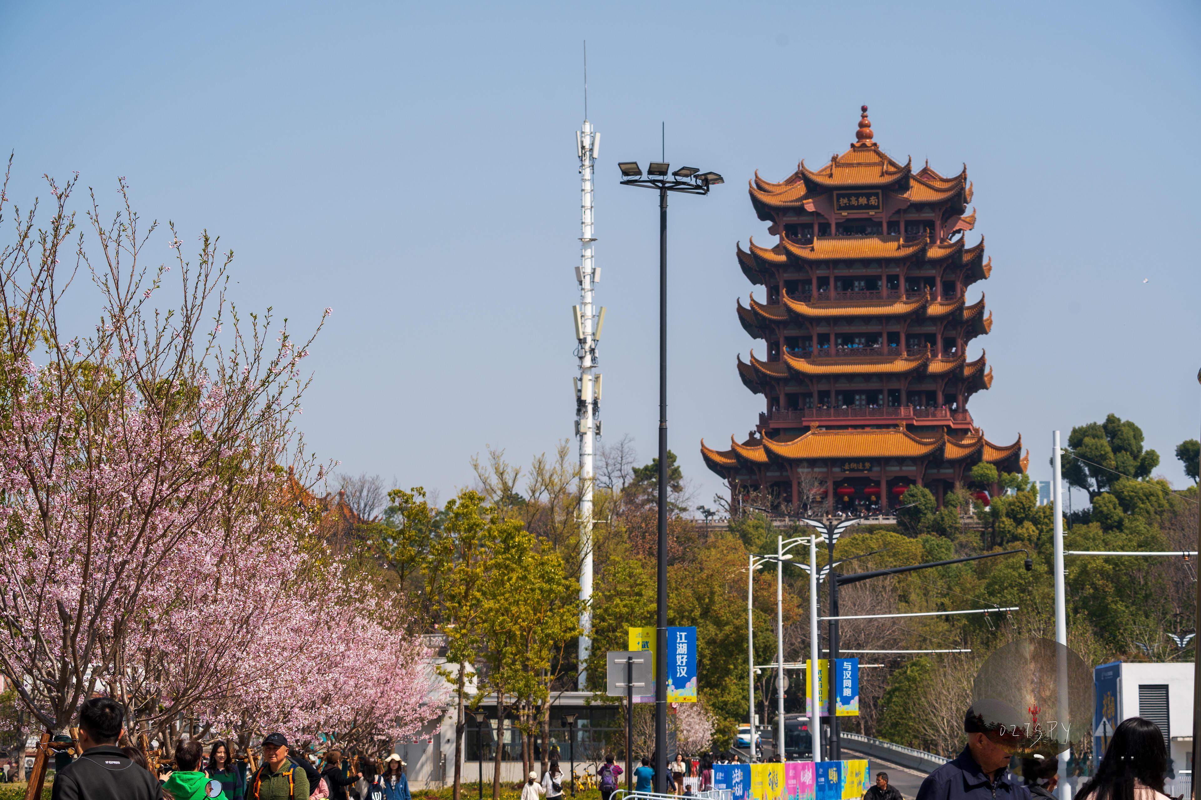 2025汉马和樱花季更配 🌸樱花开了，就去跑汉马吧！42公里的赛道，近3000