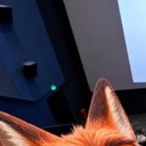 感情里最动人的不是永远不闹别扭是闹过之后依然有人主动伸手有人愿意紧握人生感悟情感