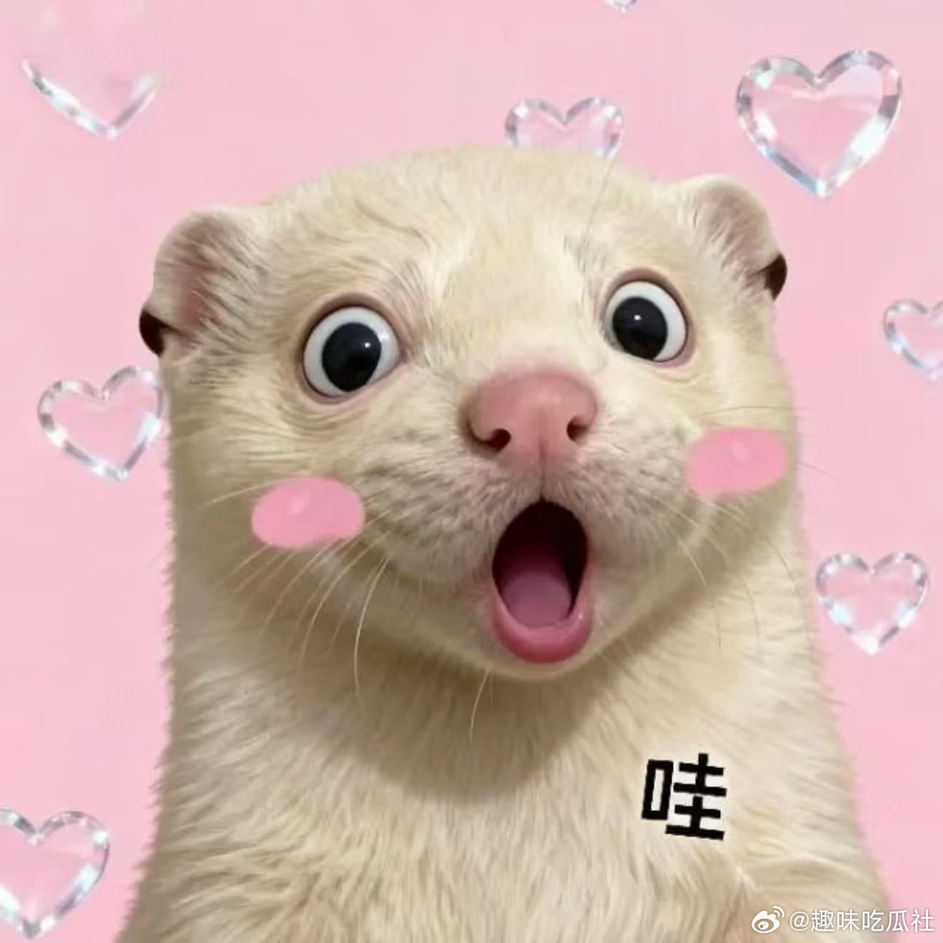 为何越来越多人用手机代替相机AI修图赛道来了个天赋选手 出门不想扛沉重相机，手机