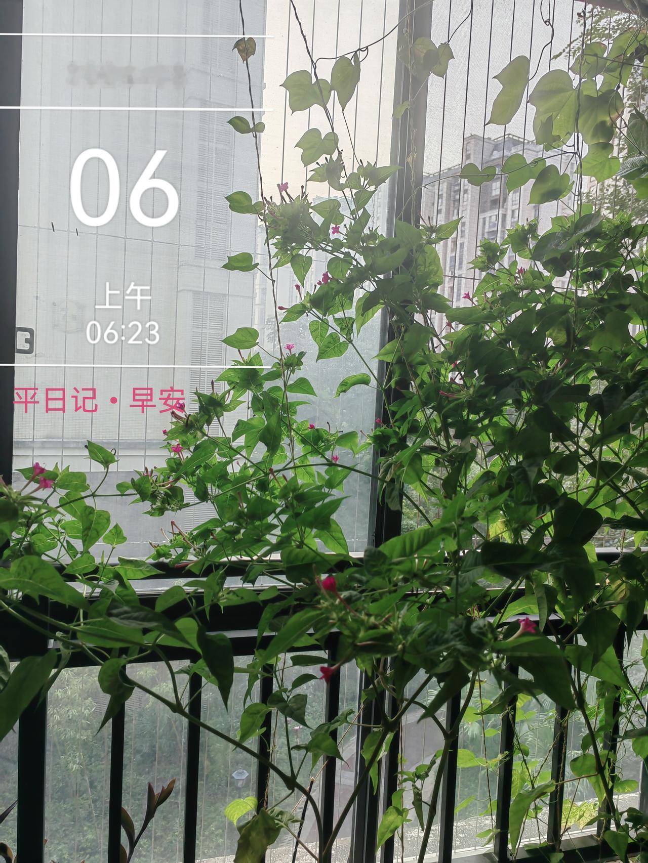 平日记•早安

心存阳光，必见美好，让喜爱之事成为生活主调。

不问东西南北，顺
