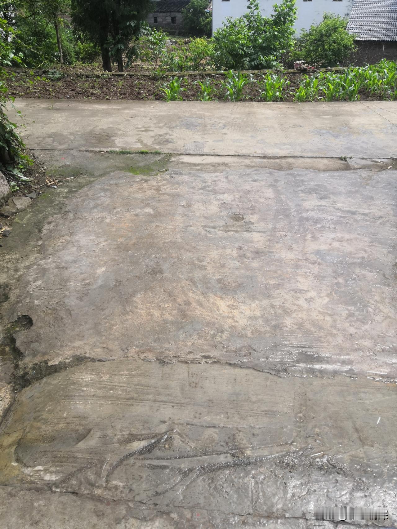 火辣辣的太阳也在炙烤着大地，中江县西南部当地15:32分田间地头的人们勤劳的邻居