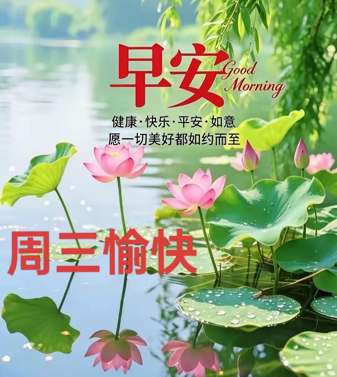 到了周三工作日中段，很容易感到疲惫乏力，送上一段暖心早安文案，给正在打拼的友友们