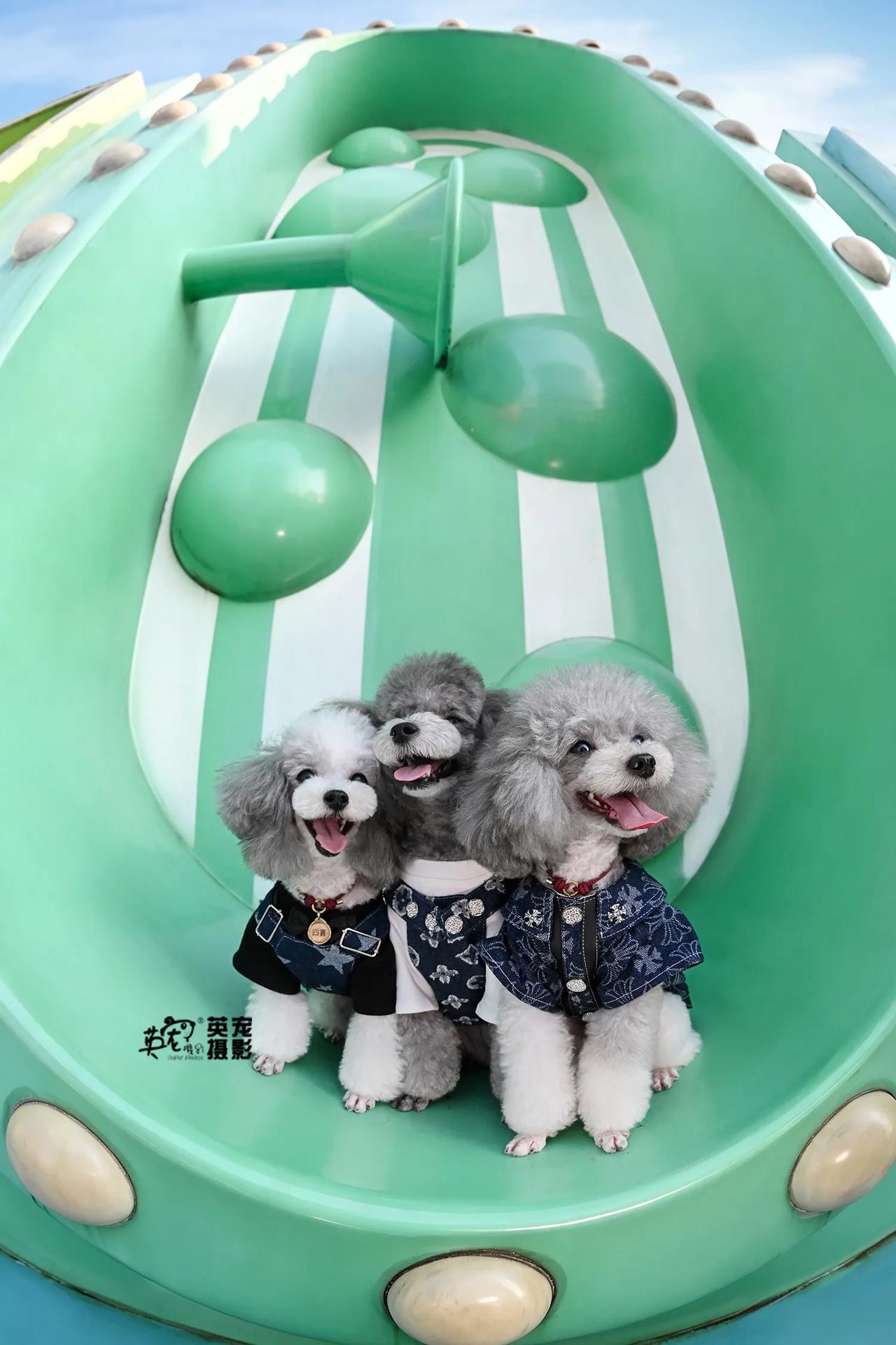 太好啦，是童话世界🤩
【武汉拍摄】