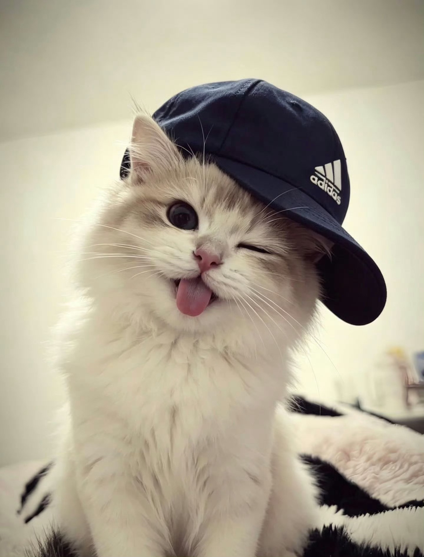 【2998】在猫波特刷到的，完全就是崔然竣啊 ​​​