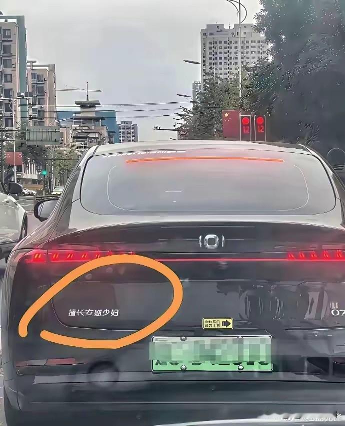 国产新能源车天塌了！一个车贴拉低整个车的档次，形象全没了！