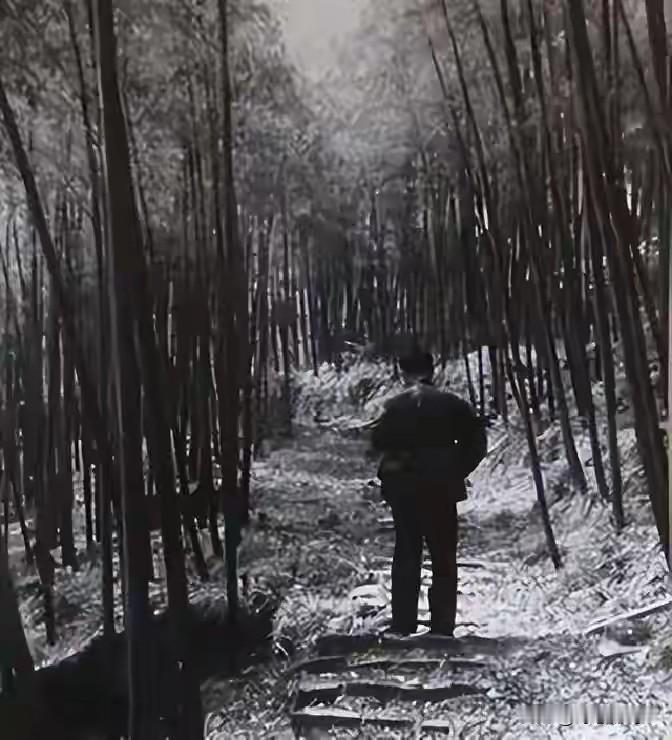 1993年，一个退伍军人在县城盘下了个小馆子。刚开张没几个月，就赶上全县搞卫生大