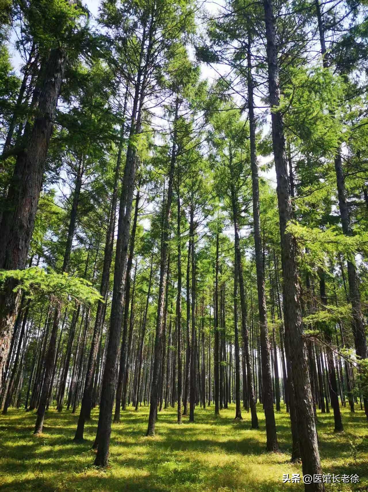 第一：以人为本的思想，一定要有，因为今天的西式医疗，是建立在检测设备，治疗设备的