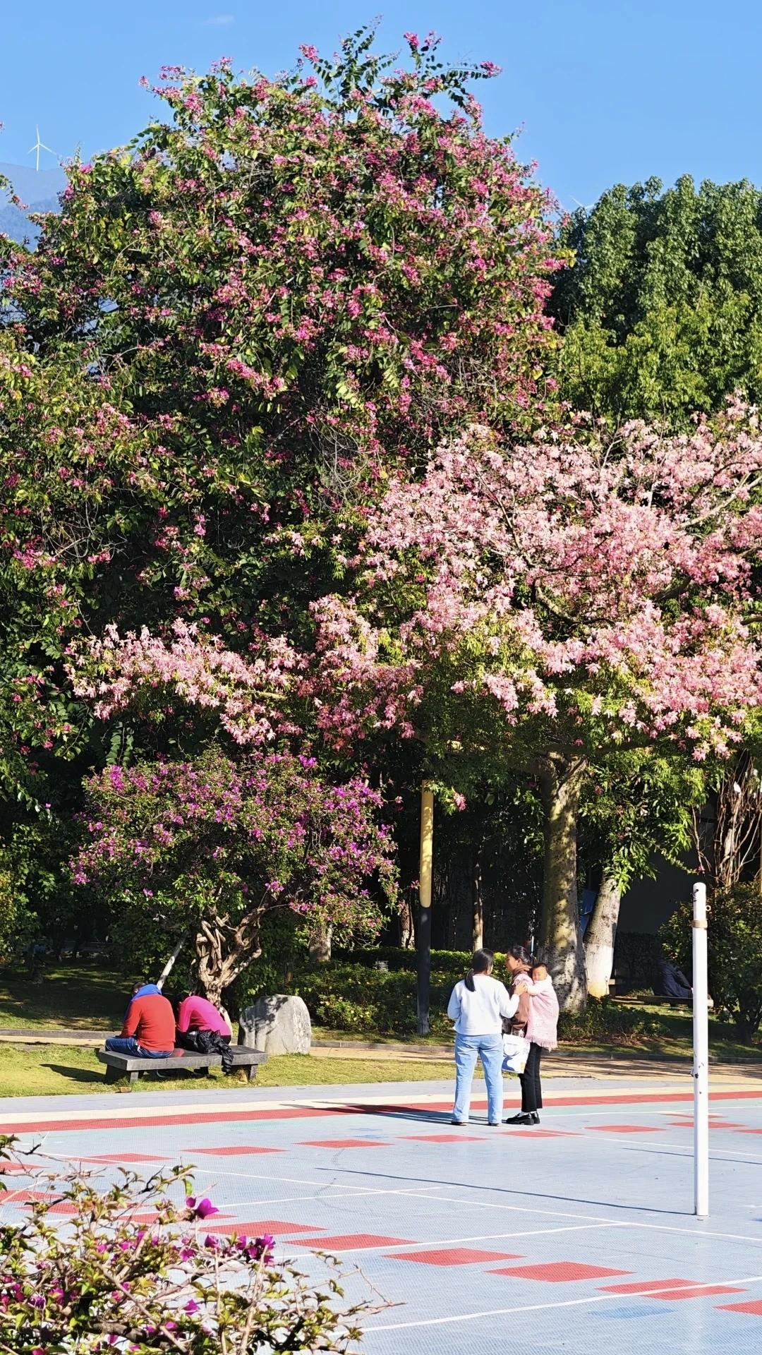 【爱而不得的人，就默默祝福；努力无果的事，就坦然告别。你所失去的，或许本就不属于